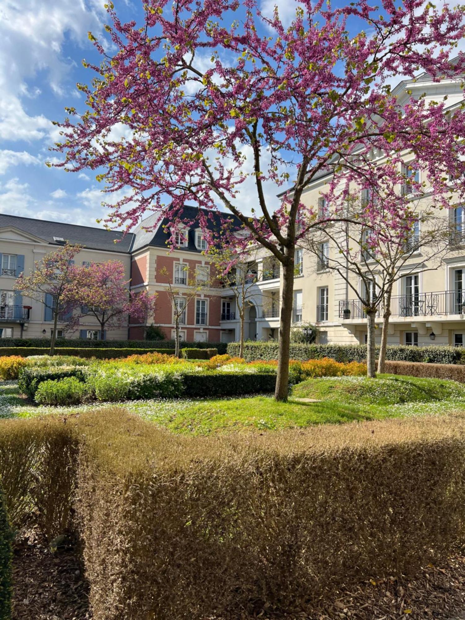 סאריס Appartement Disneyland Idealement Situe מראה חיצוני תמונה